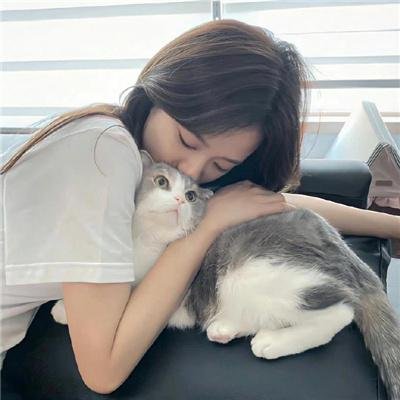 冷案